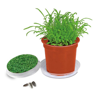 Florero-Töpfchen mit Samen - terracotta - Gartenkresse
