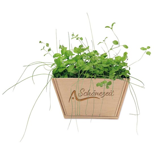 Mini-Beet mit Samen - Vergissmeinnicht, Lasergravur