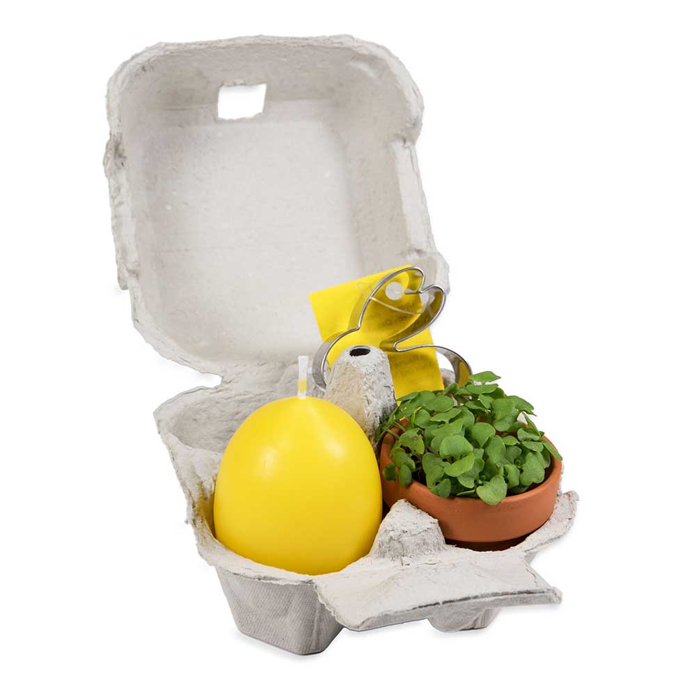 Das Gelbe vom Ei - mit Tontöpfchen, Eierkerze,  Backförmchen