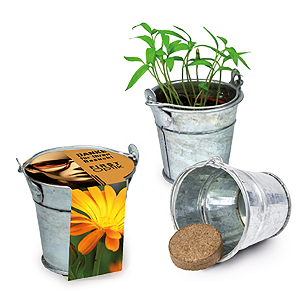 Pflanzeimerchen mit Samen - Ringelblume
