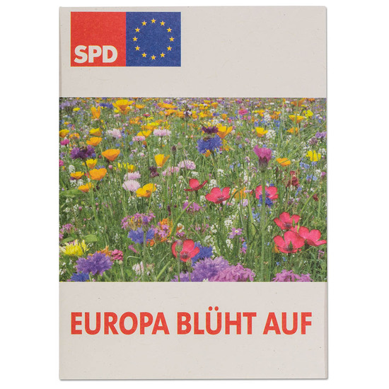 Samentütchen Klein - Recyclingpapier - Vergissmeinnicht