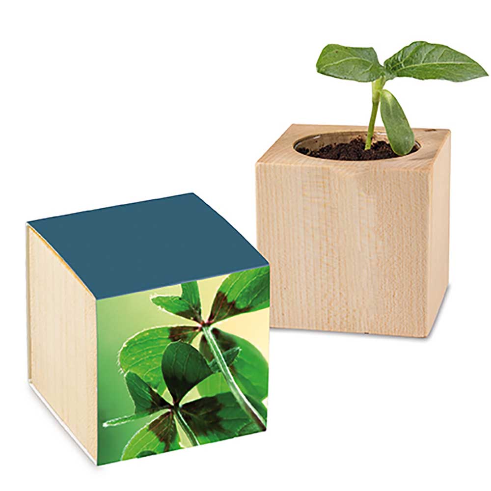 Pflanz-Holz Glücksklee - 2 Seiten gelasert  (* Je nach Verfügbarkeit der Glücksklee-Zwiebeln)