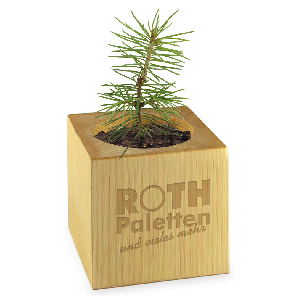 Pflanz-Holz - Standardmotiv - Frohe Weihnachten - ohne Lasergravur