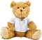 Plüsch-Teddybär Monty
