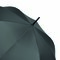 Automatik-Stockschirm LIPSI 56-0103504
