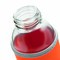 Glas-Flasche TAKE WELL 56-0304235