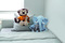Plüsch-Elefant MALIK 56-0502612