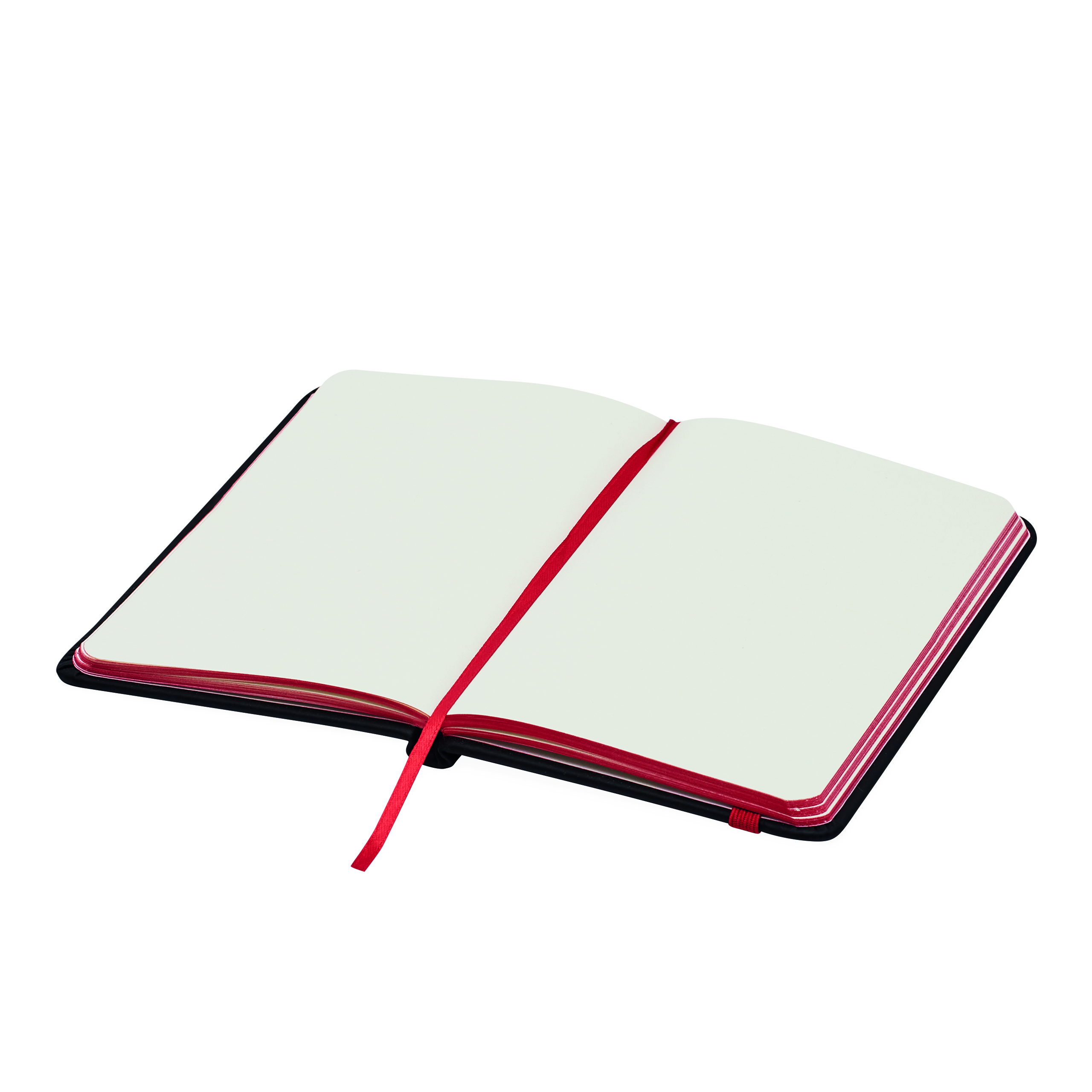 Notizbuch LECTOR im DIN-A6-Format 56-1103288
