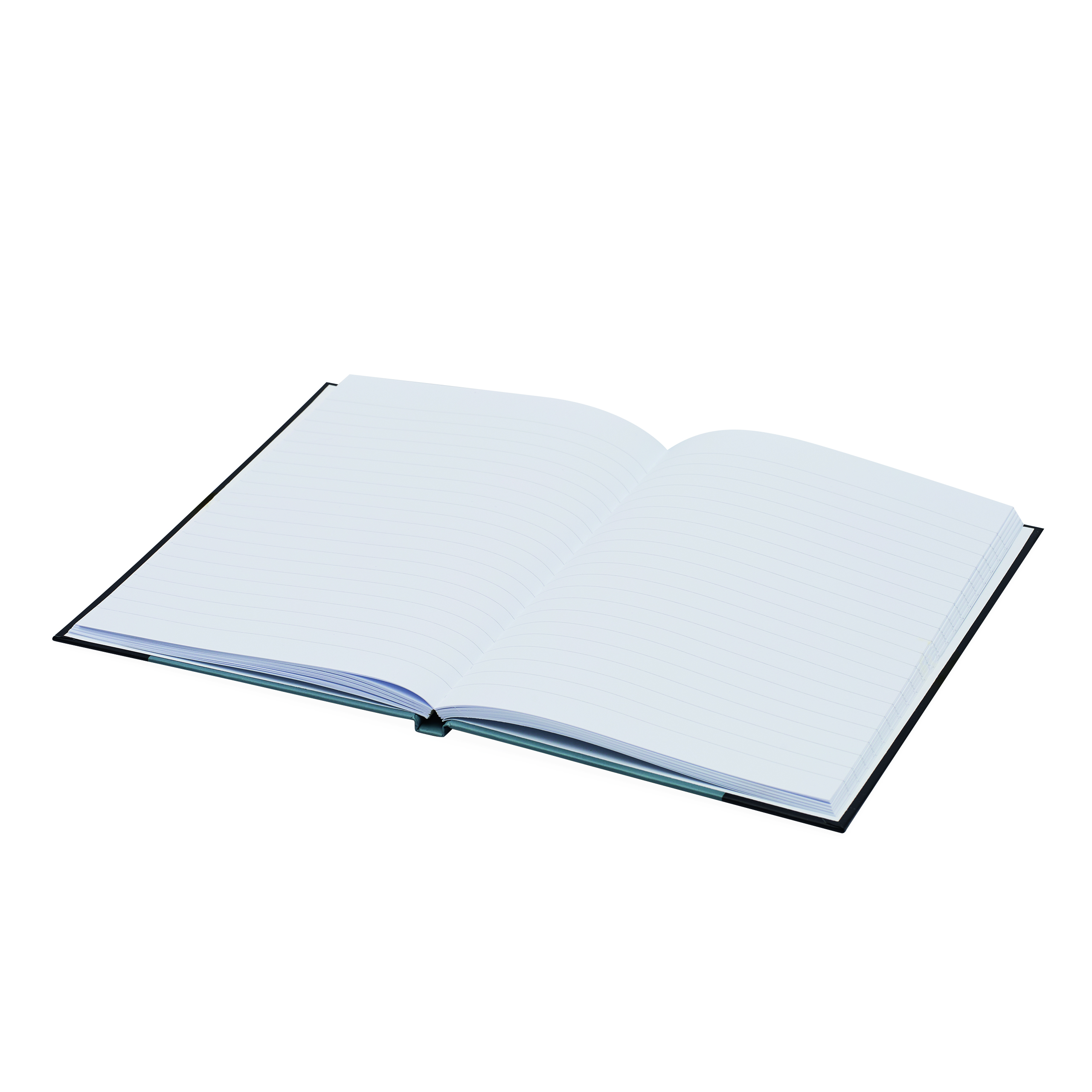 Notizbuch SIGNUM im DIN-A5-Format 56-1103321