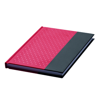 Notizbuch SIGNUM im DIN-A5-Format 56-1103323