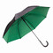 Automatik-Stockschirm DOUBLY, grün, schwarz