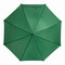 Automatik-Stockschirm LIMBO, grün