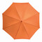 Automatik-Stockschirm LIMBO, orange