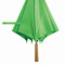 Automatik-Stockschirm LIMBO, hellgrün