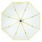 Automatischer Windproof-Stockschirm VIP