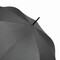 Automatik-Stockschirm LIPSI, grau