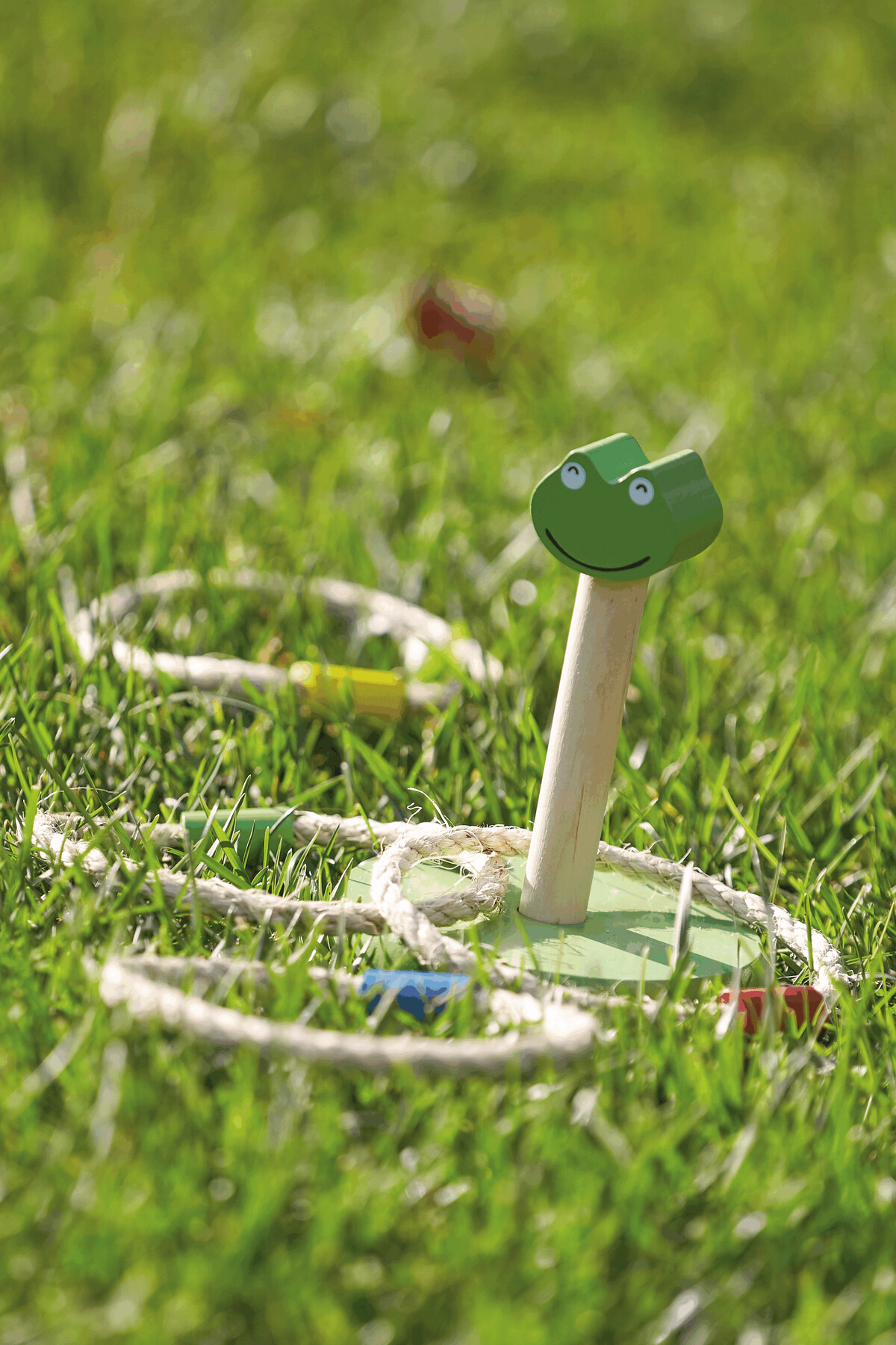 Ringwurfspiel CRAZY LOOP,