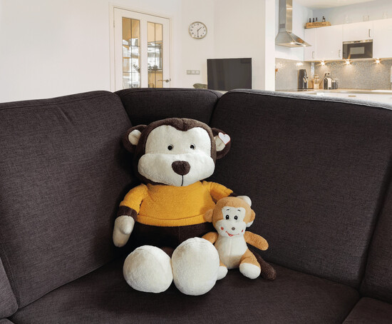 Großer Plüsch-Affe BATU, braun