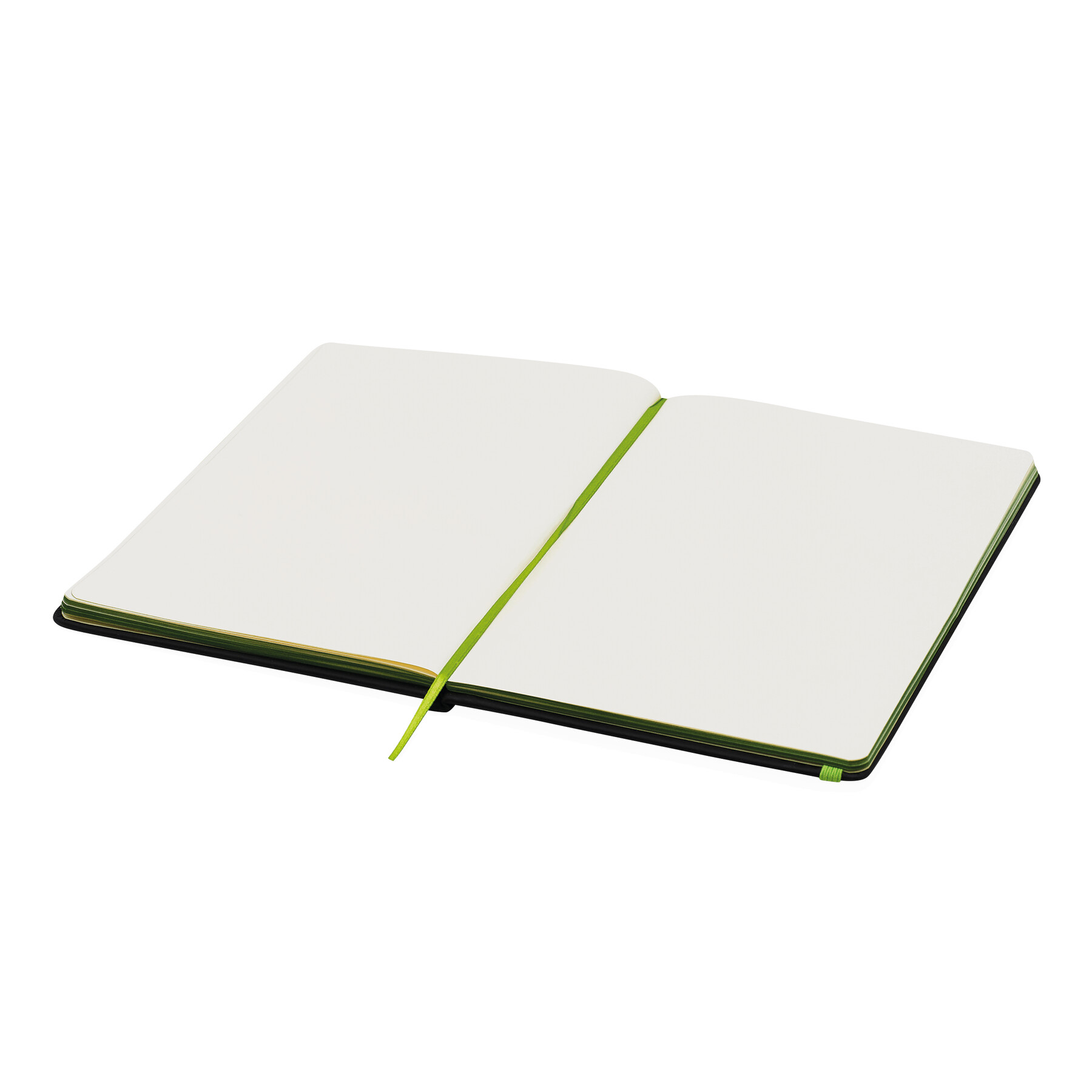 Notizbuch LECTOR im DIN-A5-Format, hellgrün, schwarz