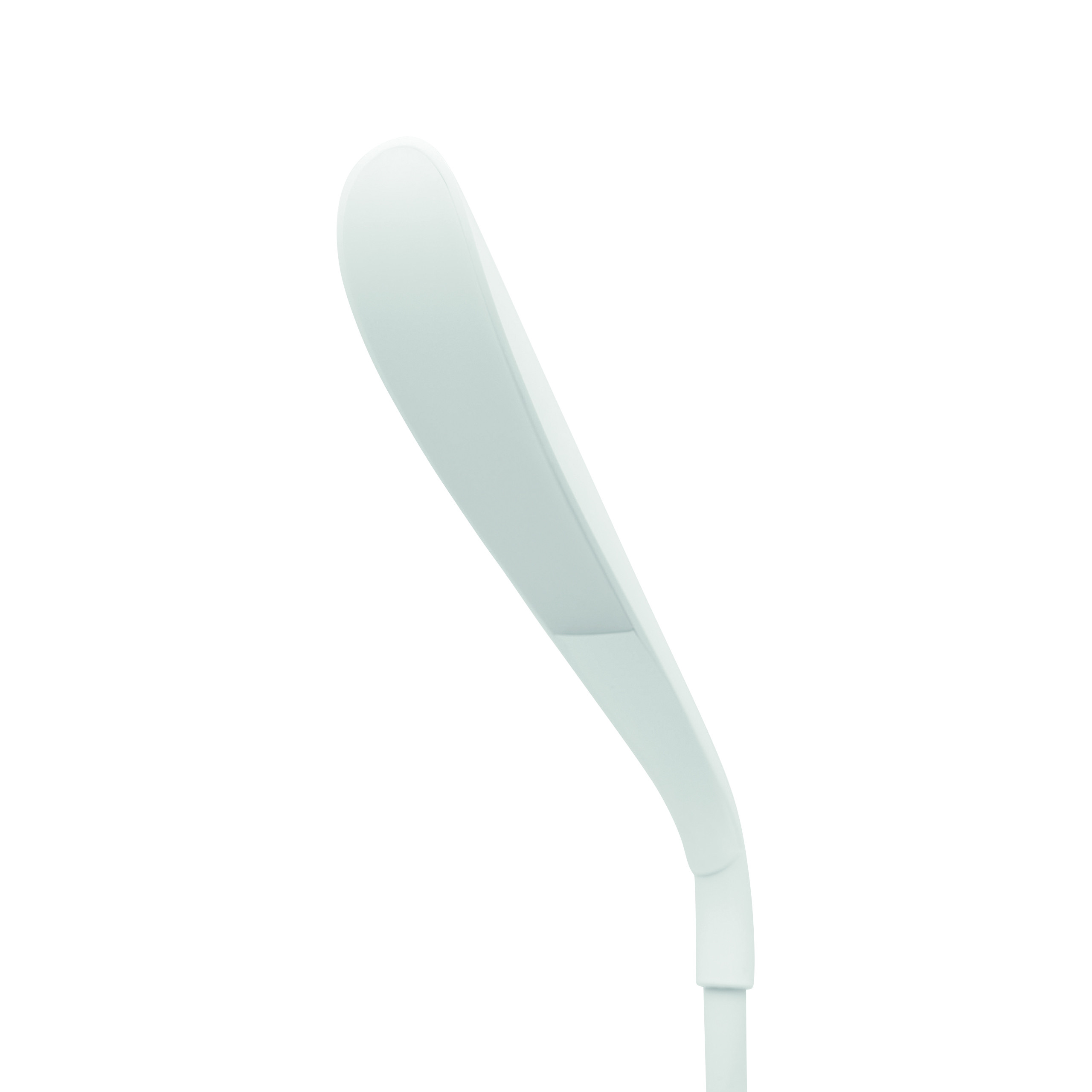 Schreibtisch-Lampe SWAN