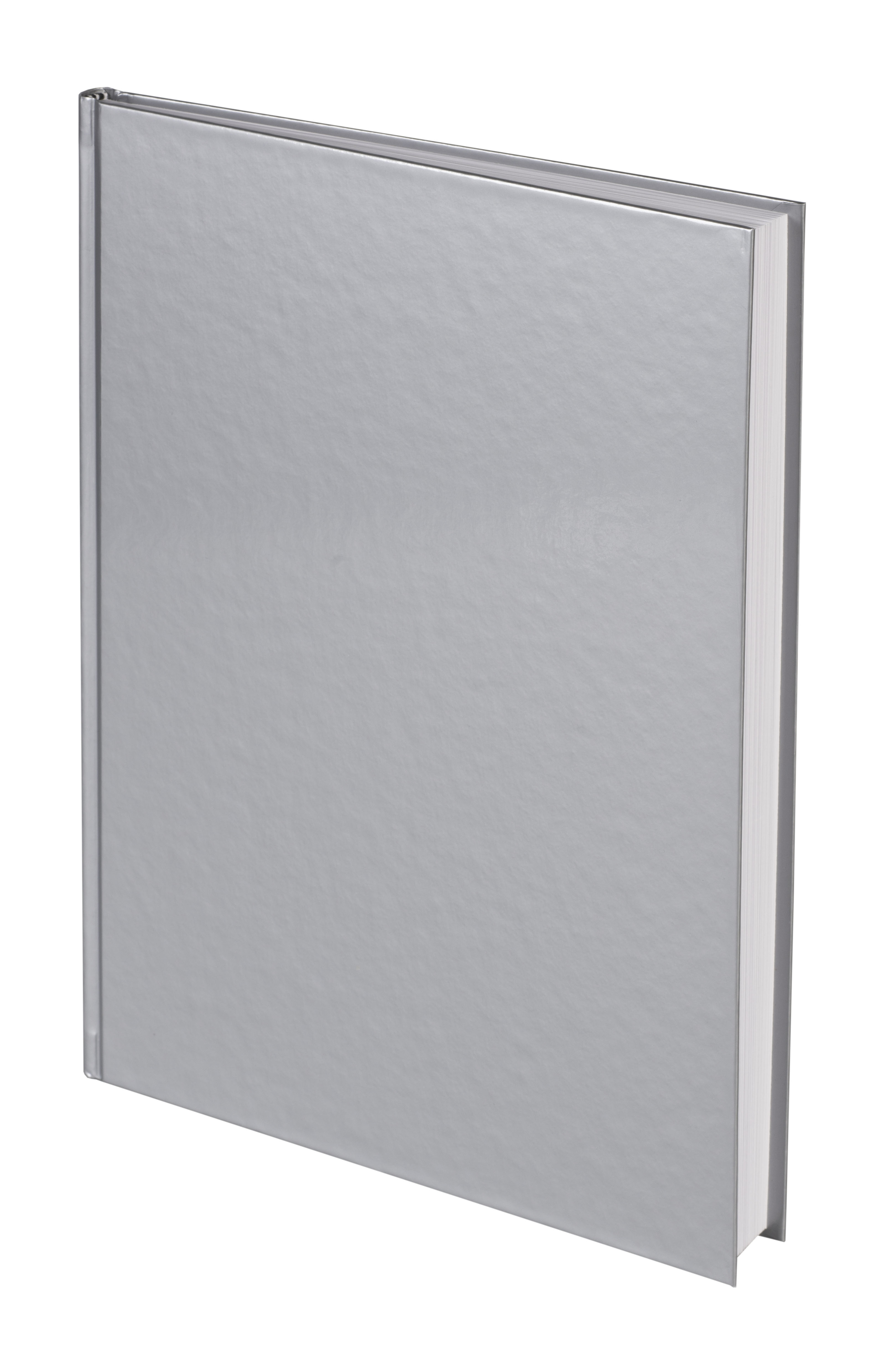 Notizbuch Office A4, silber