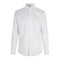 SEVEN SEAS Royal Oxford | slim
