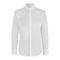 SEVEN SEAS Poplin | slim
