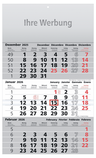 3-Monatskalender Assistent-basic grau