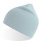 AT102 Holly Beanie