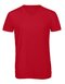 BCTM057 V-Neck Triblend T-Shirt /Men
