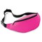Belt Bag