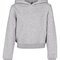 Girls Cropped Sweat Hoody