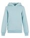 Basic Kids Hoody