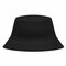 C1720 Bobhat