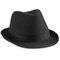 Fedora