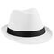 Fedora