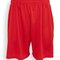 Evolution Shorts