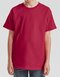 F185K Fruit of the Loom Kids Iconic 195 T