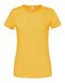 Ladies Ringspun Premium T