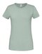 Ladies Ringspun Premium T