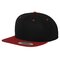 Classic Snapback 2-Tone