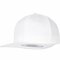 Organic Cotton Snapback