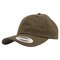 Low Profile Cotton Twill