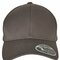 FX7706FF Flexfit 110 Curved Visor Snapback