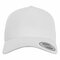 5-Panel Curved Classic Snapback