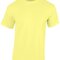 Heavy Cotton™ T- Shirt