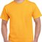 Heavy Cotton™ T- Shirt