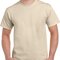 Heavy Cotton™ T- Shirt