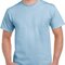 Heavy Cotton™ T- Shirt
