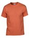 Heavy Cotton™ T- Shirt